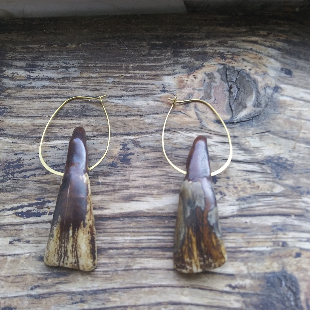Authentic American Buffalo Teeth on Brass Hoops - Picture 2 of 7